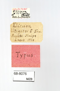 68-8076_Elicura_litigator_etiquetes