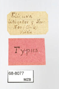 68-8077_Elicura_litigator_etiquetes