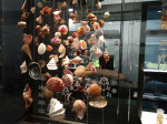Any 2017. Exposició "Planeta Vida" amb una representació de la col·lecció Bot