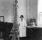 Josepa Mata a la Secció de Botànica del Museu [Institut Botànic de Barcelona]